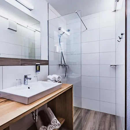 Margarethenstein Mit Privat Sauna Und Inklusive Zell Am See-kaprun Sommerkarte