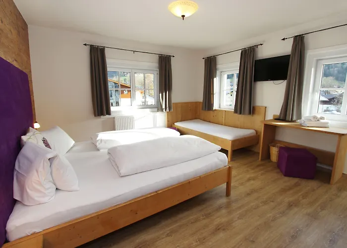 Apartment Margarethenstein Including Zell Am See Kaprun Summercard カプルーン