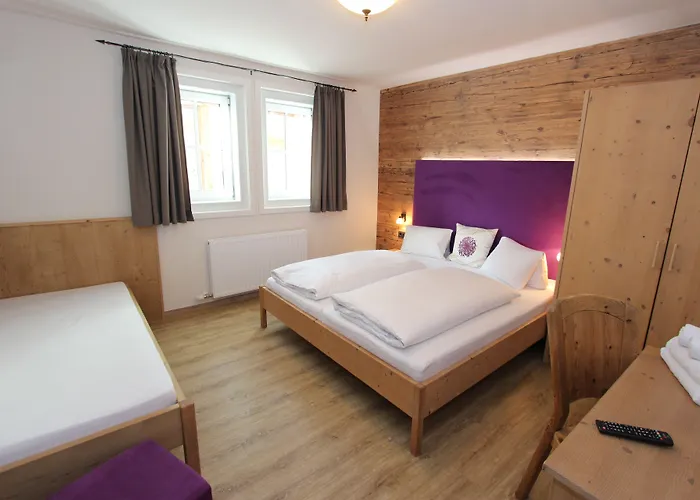 Apartment Margarethenstein Including Zell Am See Kaprun Summercard Daire *